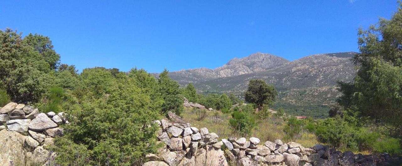 Acogedora Casa Rural En La Sierra De Madrid Mataelpino Exteriér fotografie